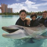 Atlantis Dolphin Encounter Day Tour