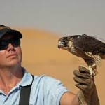 Falconry Experience and Wildlife Tour in Dubai
